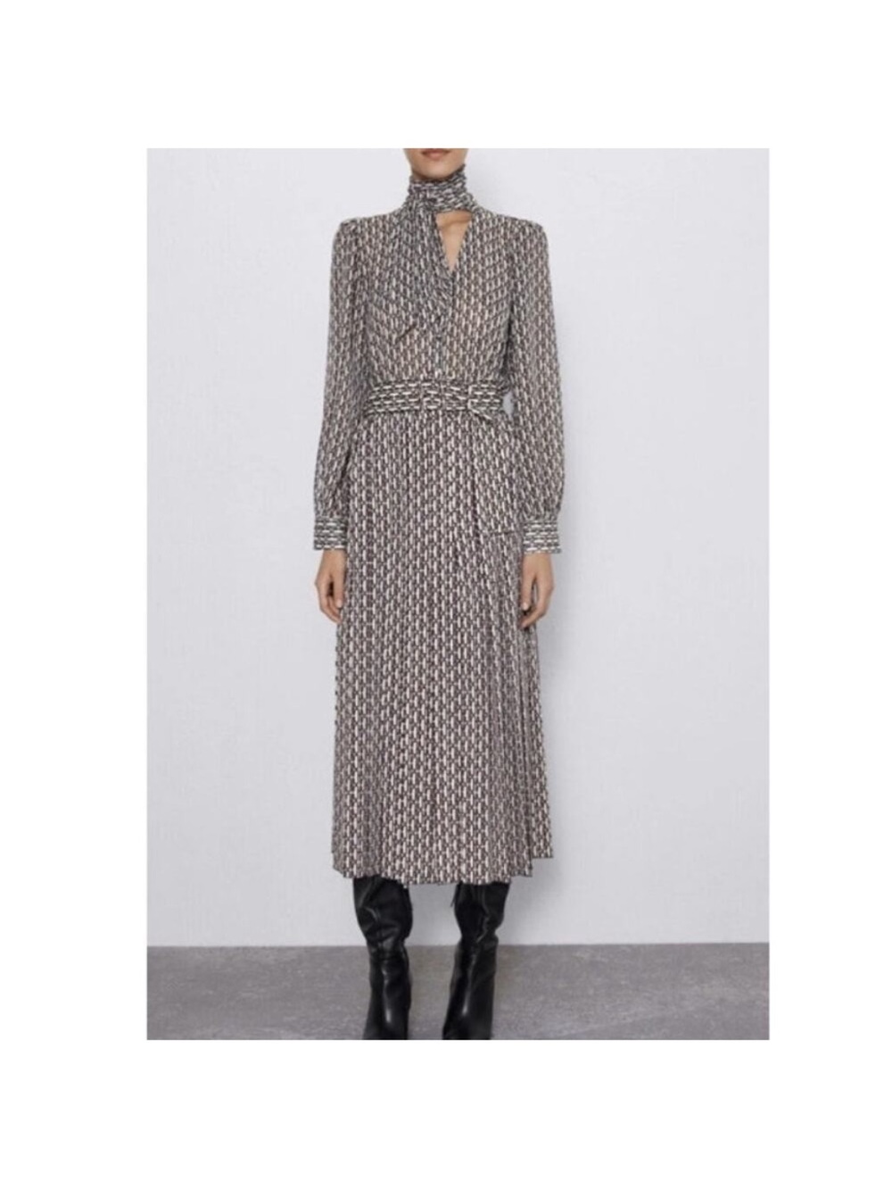 • ISO Zara dress •